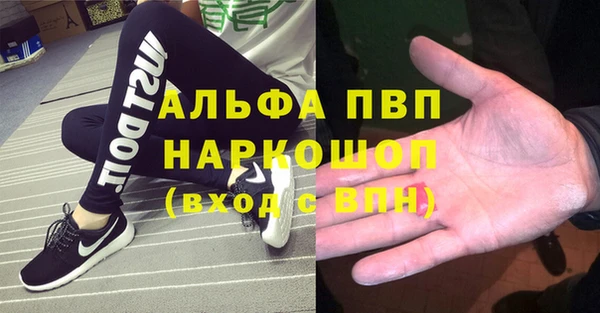 стаф Абаза