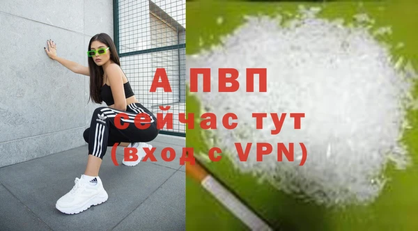 стаф Абаза