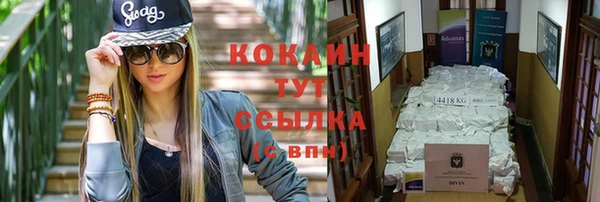 стаф Абаза